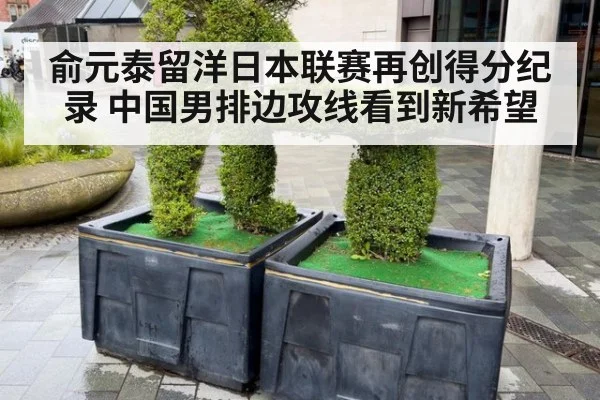 俞元泰留洋日本联赛再创得分纪录 中国男排边攻线看到新希望